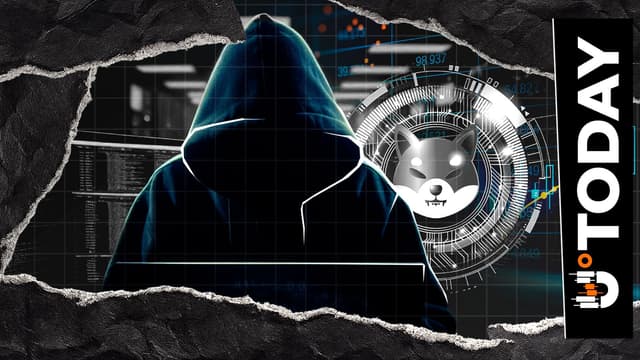 Kusama-News-Shytoshi Kusama Updates X Profile Location Amid Ongoing 'UI Bug Fixes'